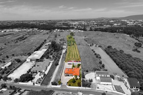 Villa i Riachos, Santarem, Riachos - € 770.000 | Ref: PE-123751151-121 - foto 6