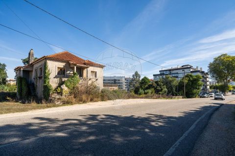 Helårsgrund i Fatima, Santarem, Fatima - € 2.100.000 | Ref: PE-123751151-120 - foto 16
