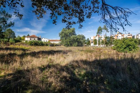 Helårsgrund i Fatima, Santarem, Fatima - € 2.100.000 | Ref: PE-123751151-120 - foto 10