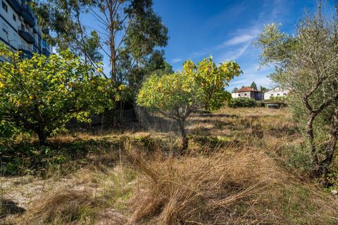 Helårsgrund i Fatima, Santarem, Fatima - € 2.100.000 | Ref: PE-123751151-120 - foto 17