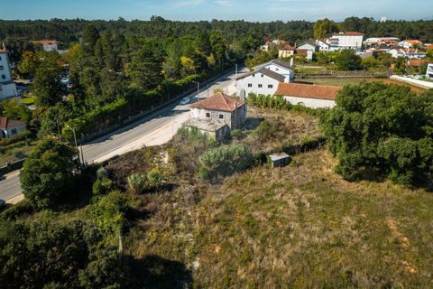 Helårsgrund i Fatima, Santarem, Fatima - € 2.100.000 | Ref: PE-123751151-120 - foto 18