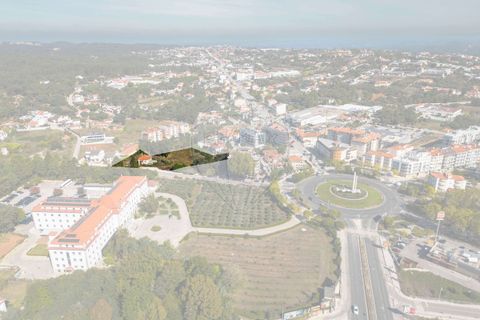 Helårsgrund i Fatima, Santarem, Fatima - € 2.100.000 | Ref: PE-123751151-120 - foto 8
