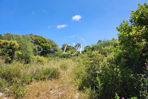 Helårsgrund i Bonifacio, Corse-du-Sud, Bonifacio - € 550.000 | Ref: BON2M000707HOP - foto 3