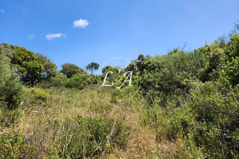 Helårsgrund i Bonifacio, Corse-du-Sud, Bonifacio - € 550.000 | Ref: BON2M000707HOP - foto 4