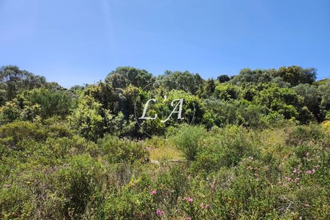 Helårsgrund i Bonifacio, Corse-du-Sud, Bonifacio - € 550.000 | Ref: BON2M000707HOP - foto 5