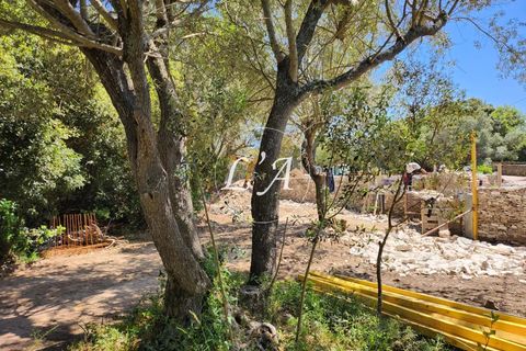 Helårsgrund i Bonifacio, Corse-du-Sud, Bonifacio - € 550.000 | Ref: BON2M000707HOP - foto 8