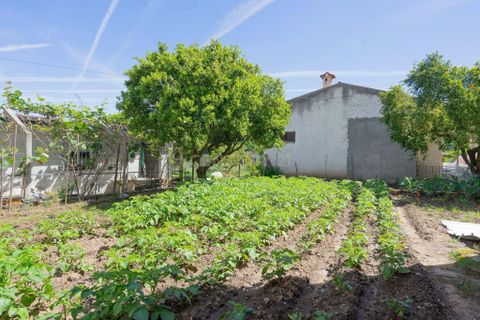 Villa i Lousa, Coimbra, Lousa - € 69.000 | Ref: C0289-01756 - foto 13