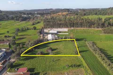 Tomt i Cernache, Coimbra, Cernache - € 89 900 | Ref: C0289-01673 - foto 9
