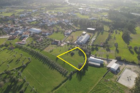 Tomt i Cernache, Coimbra, Cernache - € 89 900 | Ref: C0289-01673 - foto 12