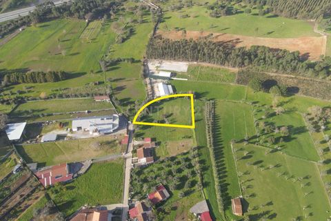 Tomt i Cernache, Coimbra, Cernache - € 89 900 | Ref: C0289-01673 - foto 18