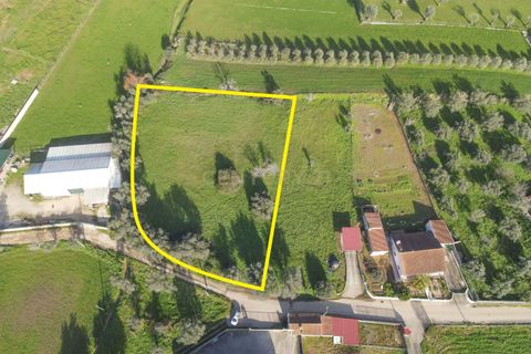 Tomt i Cernache, Coimbra, Cernache - € 89 900 | Ref: C0289-01673 - foto 21