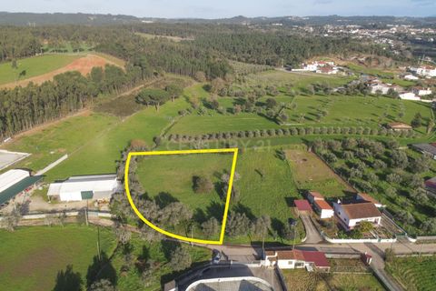 Tomt i Cernache, Coimbra, Cernache - € 89 900 | Ref: C0289-01673 - foto 24