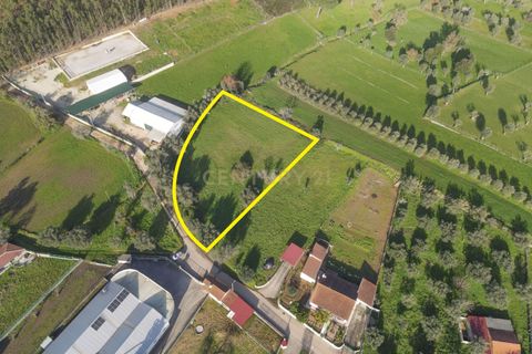 Tomt i Cernache, Coimbra, Cernache - € 89 900 | Ref: C0289-01673 - foto 25