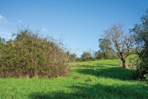 Tomt i Cernache, Coimbra, Cernache - € 89 900 | Ref: C0289-01673 - foto 32