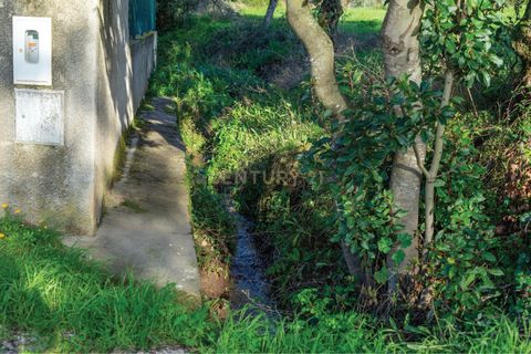 Tomt i Cernache, Coimbra, Cernache - € 89 900 | Ref: C0289-01673 - foto 34