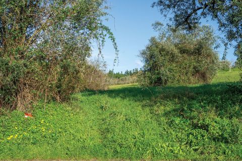 Tomt i Cernache, Coimbra, Cernache - € 89 900 | Ref: C0289-01673 - foto 37