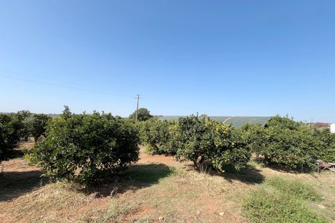 Villa i Silves, Faro, Silves - € 950.000 | Ref: BAP-83 - foto 33