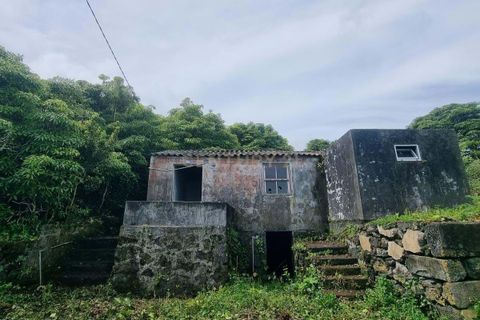 Villa i Piedade, Pico, Piedade - € 90.000 | Ref: C0423-00628 - foto 3