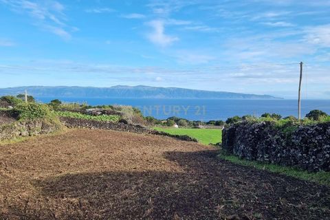 Villa i Piedade, Pico, Piedade - € 90.000 | Ref: C0423-00628 - foto 5
