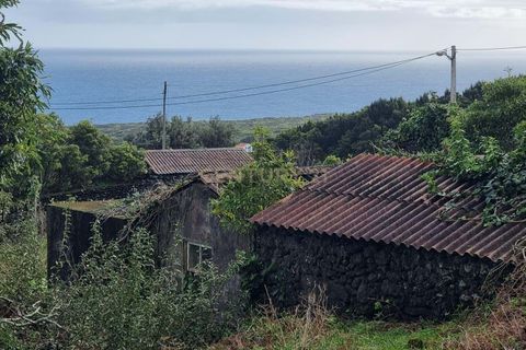 Villa i Piedade, Pico, Piedade - € 90.000 | Ref: C0423-00628 - foto 11