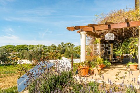 Villa i Almancil, Faro, Almancil - € 2.350.000 | Ref: W-046XGF - foto 4