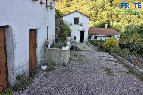 Villa i Serta, Castelo Branco, Serta - € 290.000 | Ref: AA328 - foto 1
