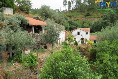 Villa i Serta, Castelo Branco, Serta - € 290.000 | Ref: AA328 - foto 4