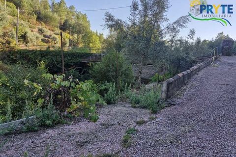 Villa i Serta, Castelo Branco, Serta - € 290.000 | Ref: AA328 - foto 7
