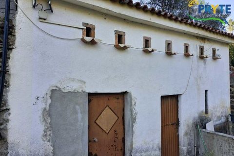 Villa i Serta, Castelo Branco, Serta - € 290.000 | Ref: AA328 - foto 8