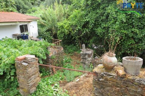 Villa i Serta, Castelo Branco, Serta - € 290.000 | Ref: AA328 - foto 9