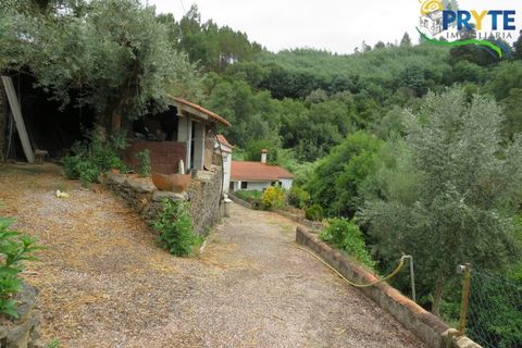 Villa i Serta, Castelo Branco, Serta - € 290.000 | Ref: AA328 - foto 10