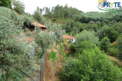 Villa i Serta, Castelo Branco, Serta - € 290.000 | Ref: AA328 - foto 14