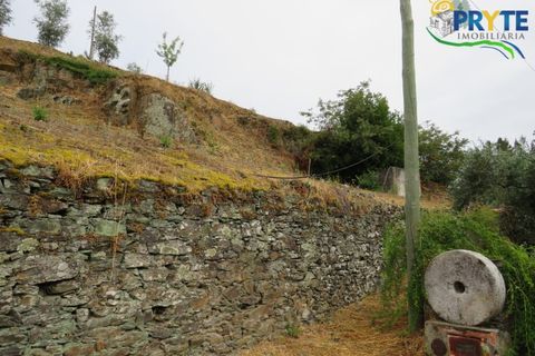 Villa i Serta, Castelo Branco, Serta - € 290.000 | Ref: AA328 - foto 16