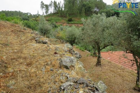 Villa i Serta, Castelo Branco, Serta - € 290.000 | Ref: AA328 - foto 17