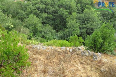 Villa i Serta, Castelo Branco, Serta - € 290.000 | Ref: AA328 - foto 20