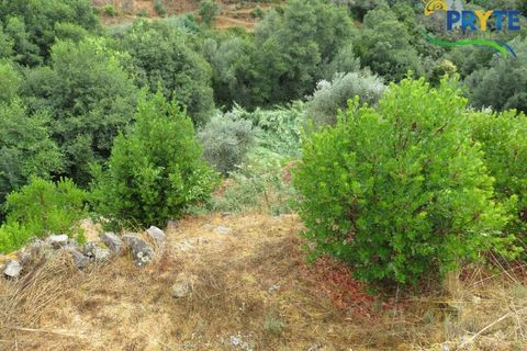 Villa i Serta, Castelo Branco, Serta - € 290.000 | Ref: AA328 - foto 21