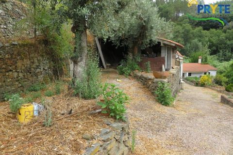 Villa i Serta, Castelo Branco, Serta - € 290.000 | Ref: AA328 - foto 22