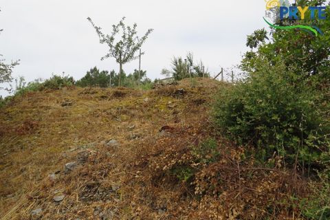Villa i Serta, Castelo Branco, Serta - € 290.000 | Ref: AA328 - foto 23