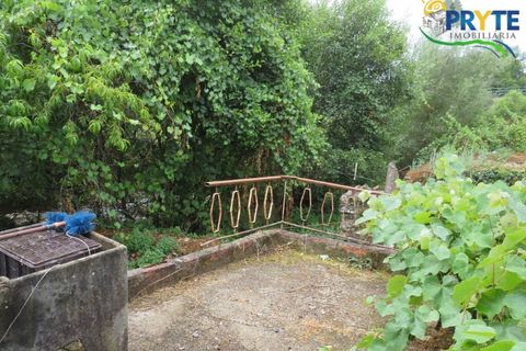 Villa i Serta, Castelo Branco, Serta - € 290.000 | Ref: AA328 - foto 34