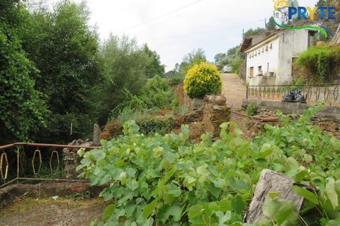 Villa i Serta, Castelo Branco, Serta - € 290.000 | Ref: AA328 - foto 36