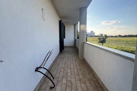 Villa a Ospedaletto Euganeo, Padua, Ospedaletto Euganeo - € 188.000 | Ref: 1389 - foto 32