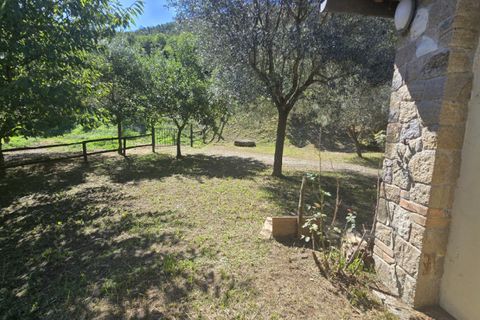 Landejendom i Baone, Padua, Baone - € 350.000 | Ref: RU60 - foto 34