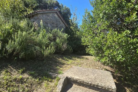 Landejendom i Baone, Padua, Baone - € 350.000 | Ref: RU60 - foto 39