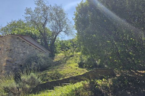 Landejendom i Baone, Padua, Baone - € 350.000 | Ref: RU60 - foto 45