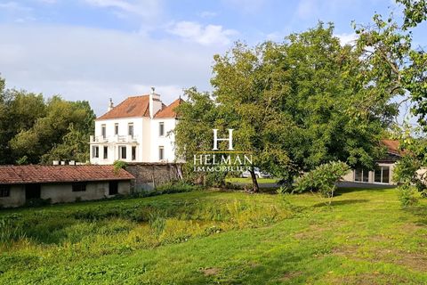 Villa i Samer, Pas-de-Calais, Samer - € 574.750 | Ref: 2822-HELMAN - foto 5
