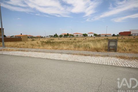 Helårsgrund i Almeida, Guarda, Almeida - € 30.600 | Ref: 148959 - foto 11