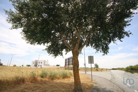 Helårsgrund i Almeida, Guarda, Almeida - € 30.550 | Ref: 148831 - foto 7