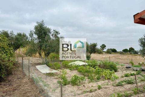 Farm i Coruche, Santarem, Coruche - € 360.000 | Ref: MAS_781 - foto 38