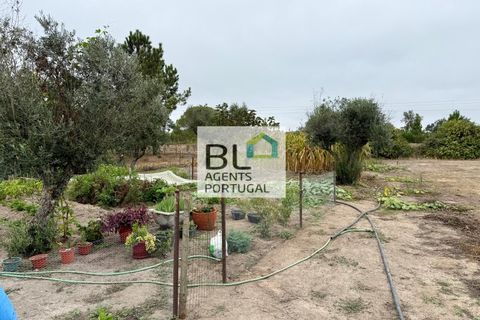 Farm i Coruche, Santarem, Coruche - € 360.000 | Ref: MAS_781 - foto 39