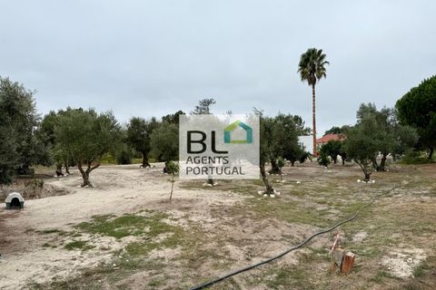 Farm i Coruche, Santarem, Coruche - € 360.000 | Ref: MAS_781 - foto 40